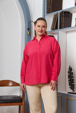 Picture of CURVY GIRL BLOUSE